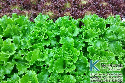 冷卻塔的夏季保養內容(冷卻塔的清洗與保養)