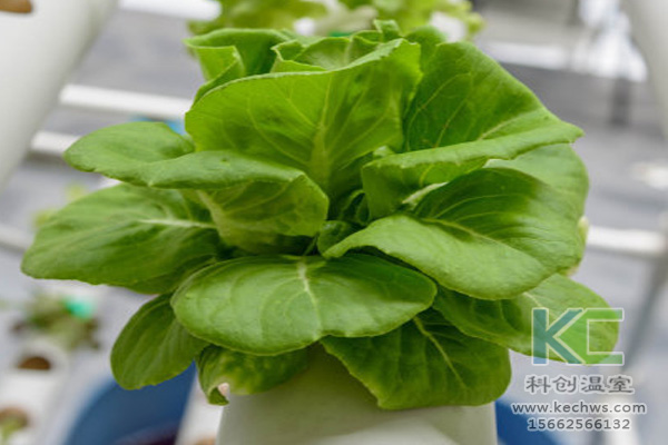 商業用途冷卻塔安裝維護更換