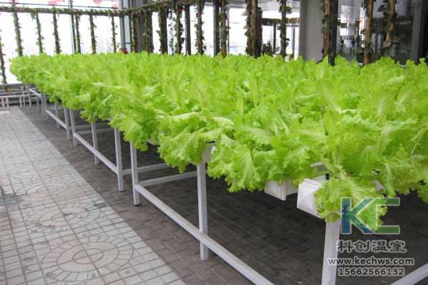 玻璃鋼冷卻水塔的維護、清潔和修復,玻璃鋼生產廠家