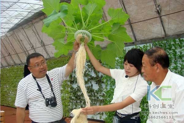 專業(yè)玻璃鋼冷卻水塔服務內(nèi)容（維修、清洗、配